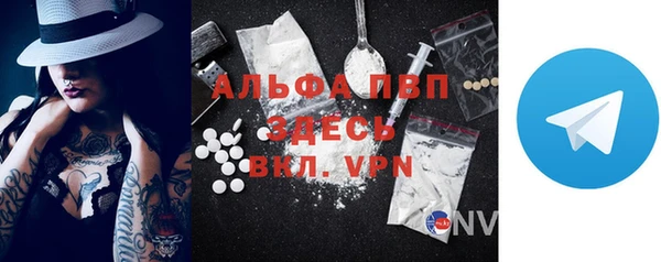 шишки Верея