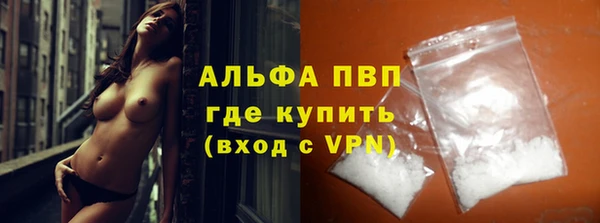 шишки Верея