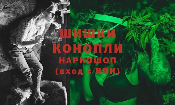 шишки Верея