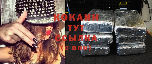 шишки Верея