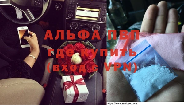 шишки Верея