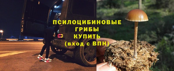 шишки Верхнеуральск