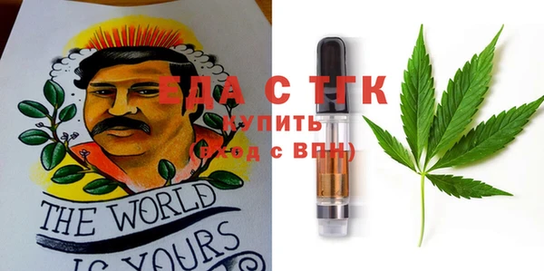 шишки Верея