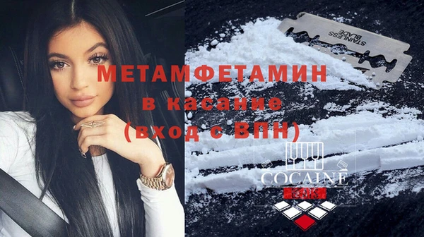 шишки Верея