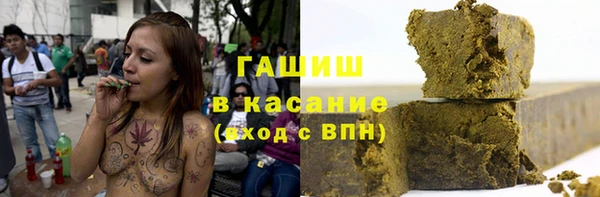 шишки Верея