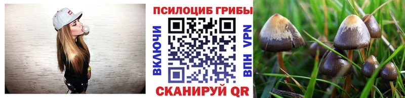 Купить закладки  Палласовка  Псилоцибиновые грибы Psilocybine cubensis 